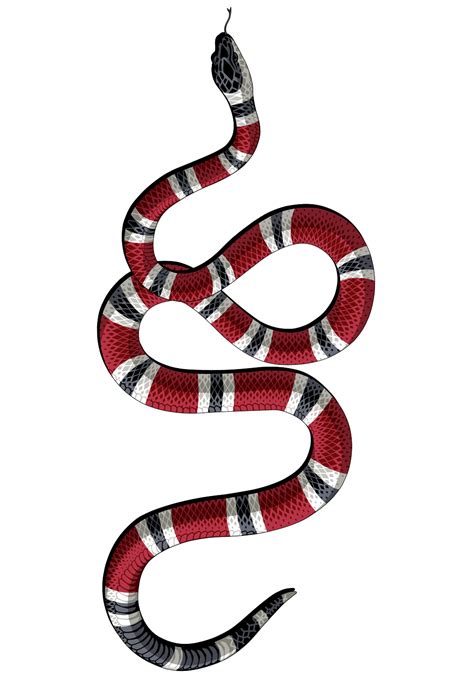 free download gucci snake|gucci snake drawing.